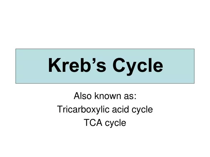 also known as tricarboxylic acid cycle tca cycle