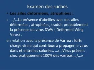 examen des ruches