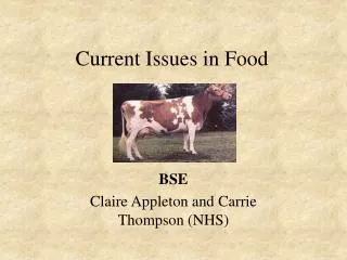 Current Issues in Food