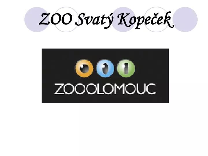zoo svat kope ek