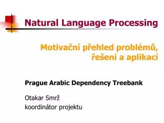 natural language processing