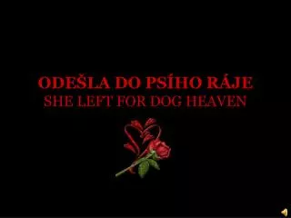 ode la do ps ho r je she left for dog heaven