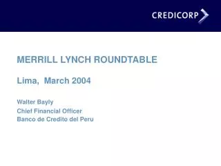 MERRILL LYNCH ROUNDTABLE Lima, March 2004 Walter Bayly Chief Financial Officer