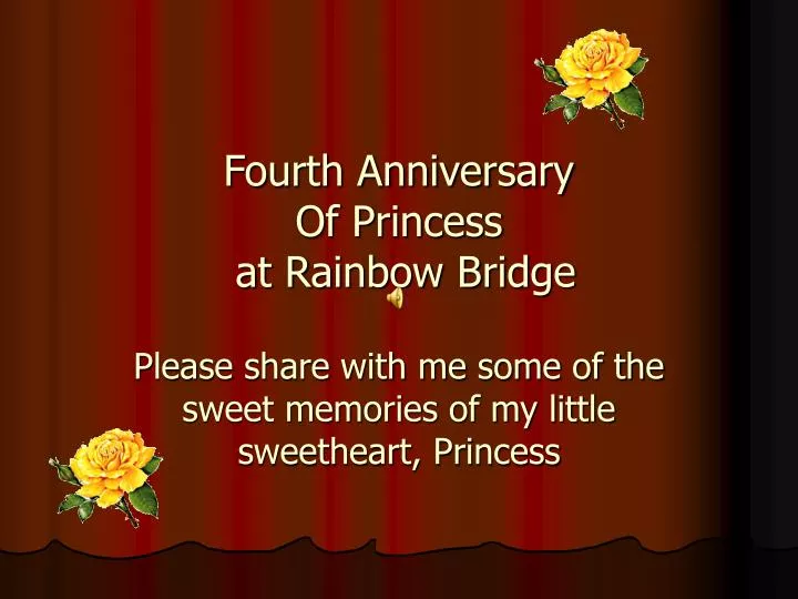 fourth anniversary of princess at rainbow bridge