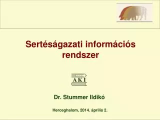 sert s gazati inform ci s rendszer
