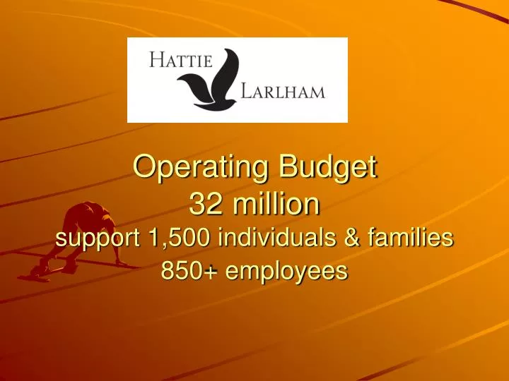 operating budget 32 million support 1 500 individuals families 850 employees