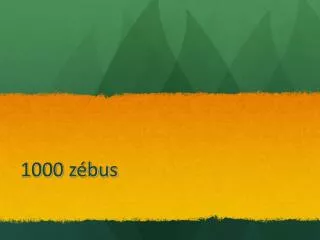 1000 z bus