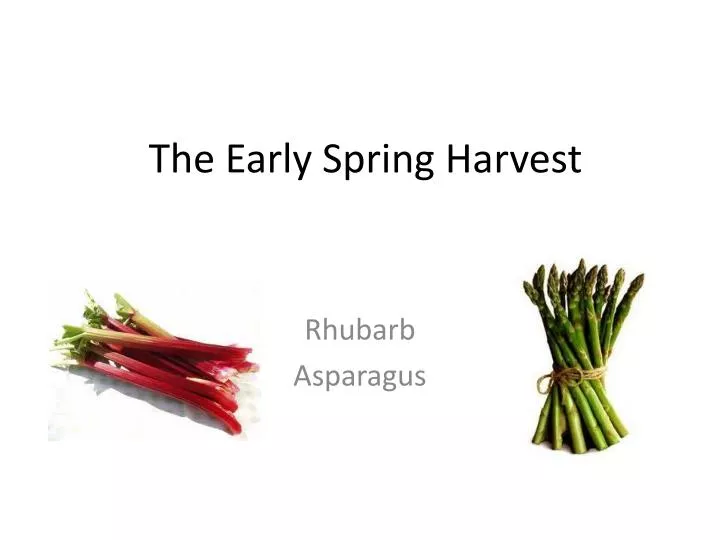 the early spring harvest