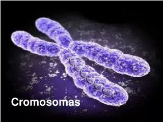 cromosomas