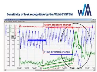 Sensitivity of leak recognition by the WLM-SYSTEM