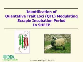 I dentification of Quantative Trait L oci (QTL) M odulating Scrapie Incubation Period In SHEEP