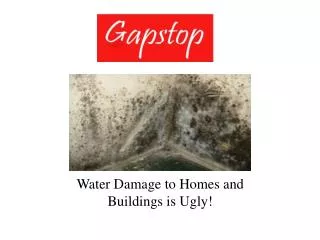 Water Damage to Homes and Buildings is Ugly!