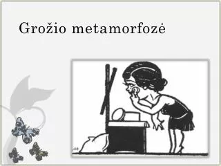 gro io metamorfoz