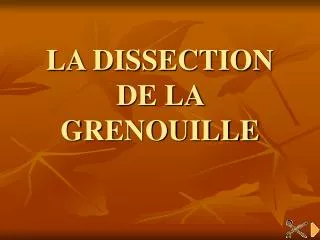 la dissection de la grenouille