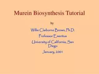 Murein Biosynthesis Tutorial