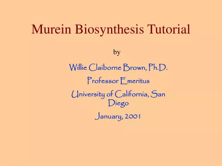 murein biosynthesis tutorial