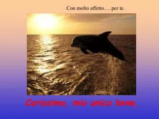 carissimo mio unico bene