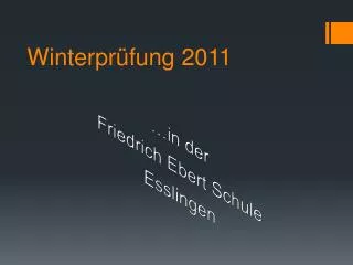 winterpr fung 2011
