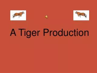 A Tiger Production