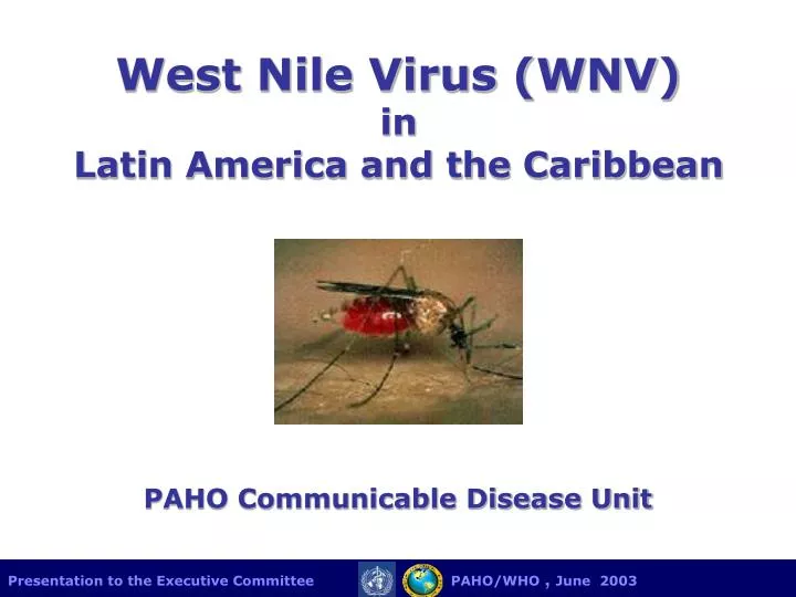 west nile virus wnv in latin america and the caribbean