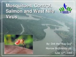 Mosquitoes, Control, Salmon and West Nile Virus