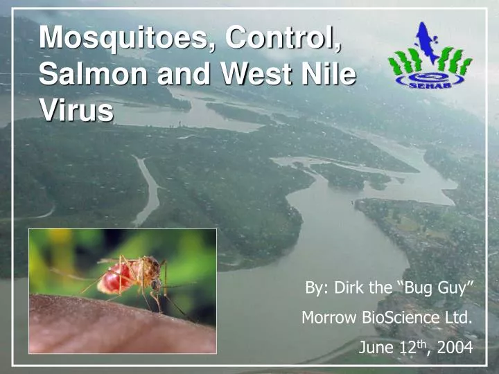 mosquitoes control salmon and west nile virus
