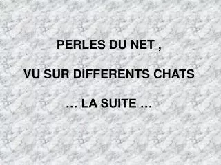 perles du net vu sur differents chats la suite