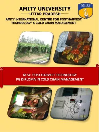 AMITY INTERNATIONAL CENTRE FOR POSTHARVEST TECHNOLOGY &amp; COLD CHAIN MANAGEMENT