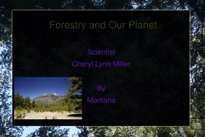 forestry and our planet
