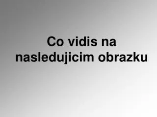 co vidis na nasledujicim obrazku