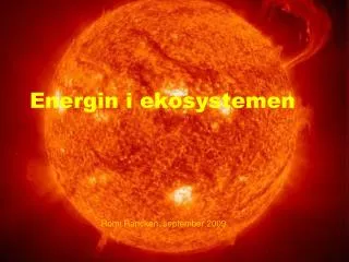 energin i ekosystemen