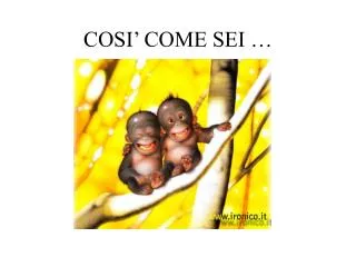 cosi come sei