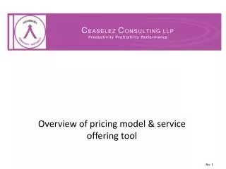 Overview of pricing model &amp; service offering tool