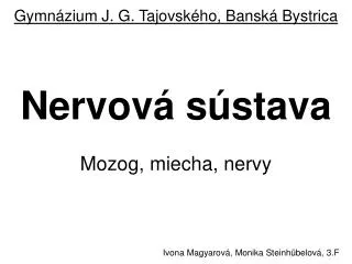 nervov s stava