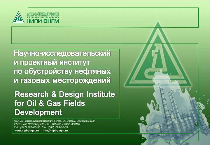 Российский проектный институт. НИПИ ОНГМ. Проектный институт. Структура проектного института.