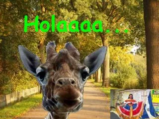holaaaa