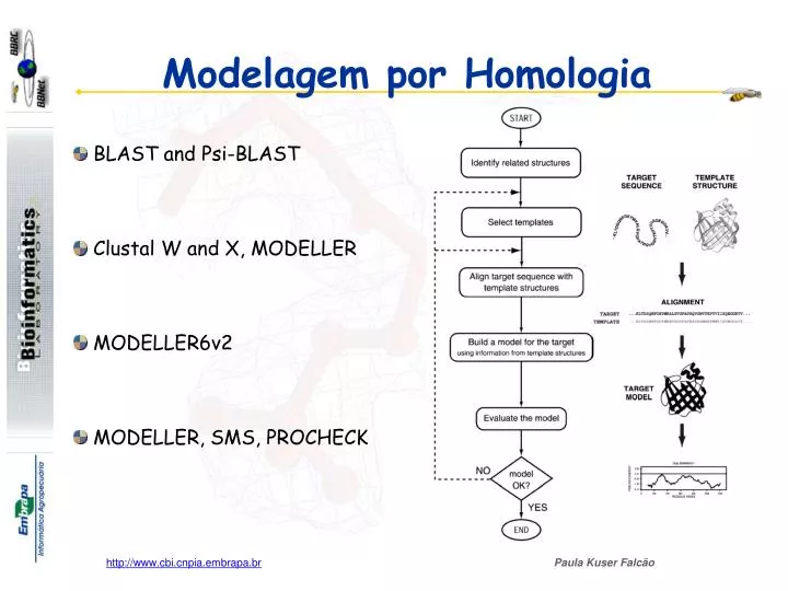 modelagem por homologia