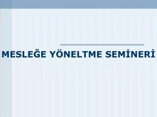 mesle e y neltme sem ner