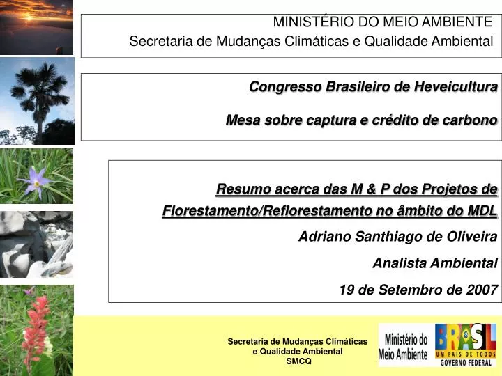 minist rio do meio ambiente secretaria de mudan as clim ticas e qualidade ambiental