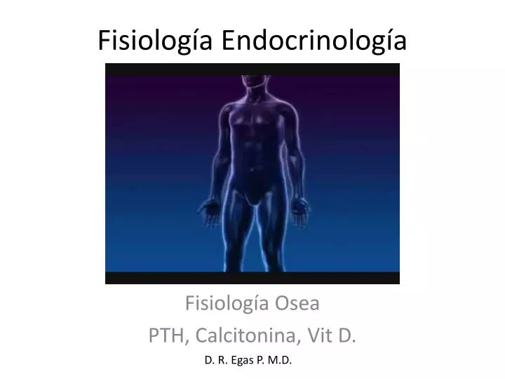 fisiolog a endocrinolog a