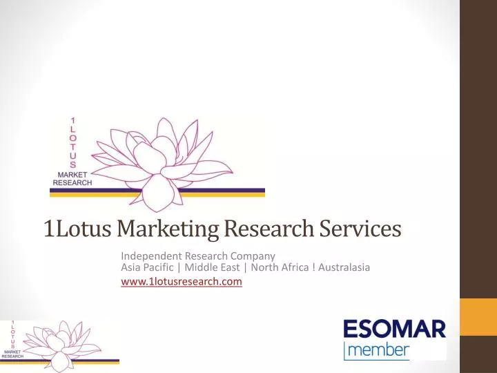 1lotus marketing research services