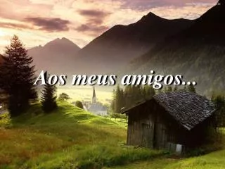 aos meus amigos