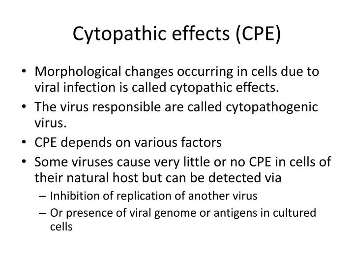 cytopathic effects cpe