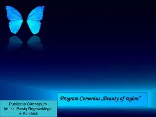 program comenius beauty of region