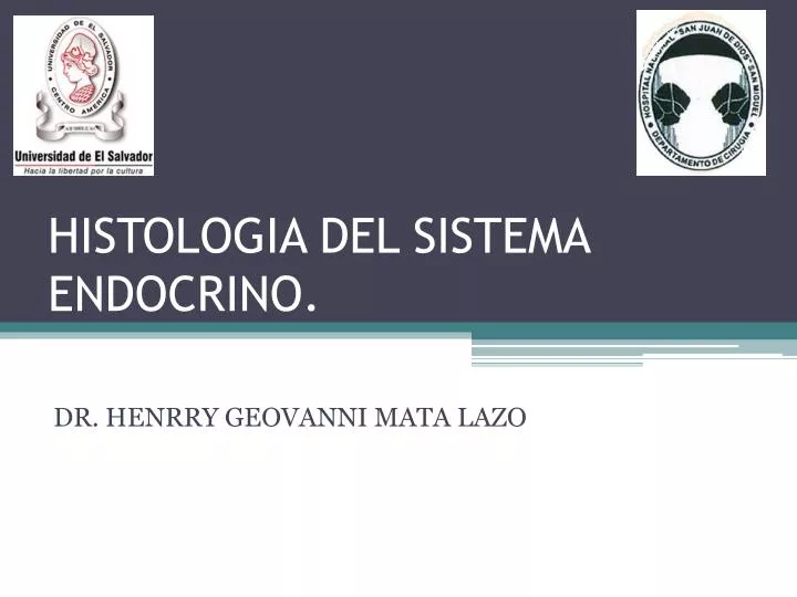 histologia del sistema endocrino