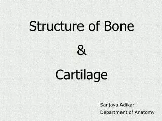 Structure of Bone &amp; Cartilage