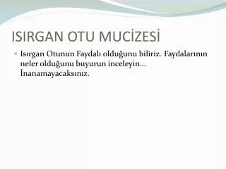 isirgan otu muc zes