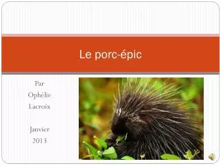 le porc pic