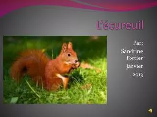 l cureuil