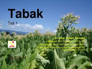 tabak teil 1
